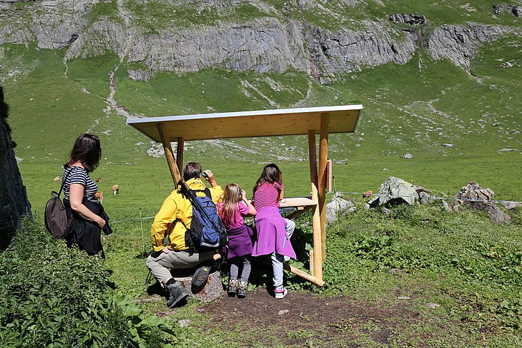 Sentiero di montagna