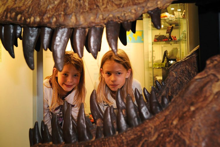 1 / 6 Im Sauriermuseum: Wow! So grosse Zähne! Die Faszination der Saurier ist ungebrochen, vor allem bei Kindern und Jugendlichen.