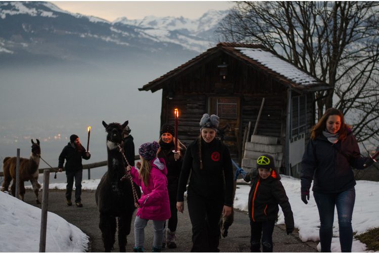Trekking con i lama