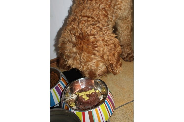 Happy Birthday Sunny. Your cake may not look so pretty, but it's delicious!