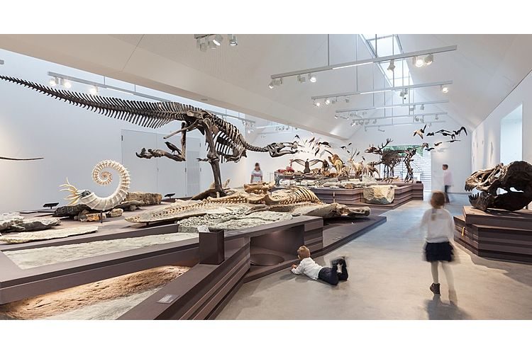 Evolution zum Anfassen im Naturmuseum St. Gallen