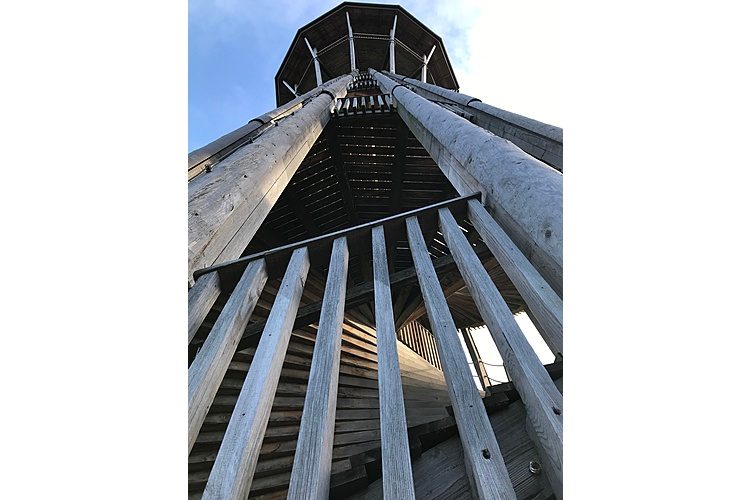 La "Torre di Kappla" nel Bois du Sauvabelin (Immagine: Florina Schwander, zVg)