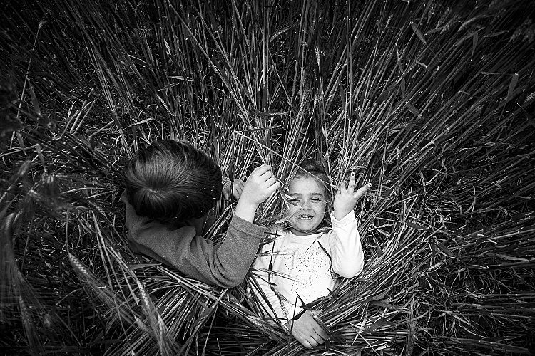 Frères et sœurs : Deux enfants jouent dans l'herbe.