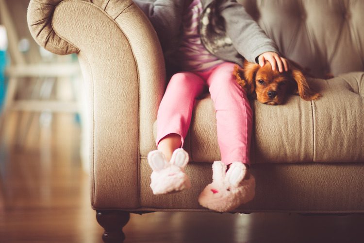 Nicht jedes Kind will mit Tieren kuscheln. Warum eigentlich nicht? Bilder: Pexels