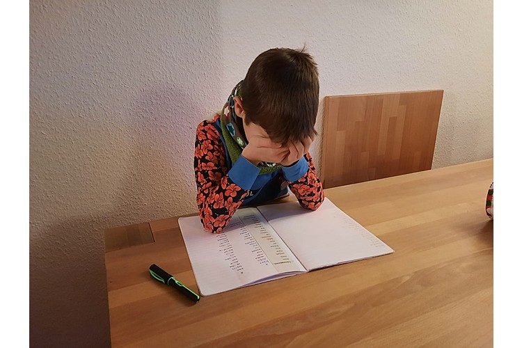 Souvent, les problèmes ne se manifestent qu'avec des exigences accrues à l'école. (Photo : Anja Petri)