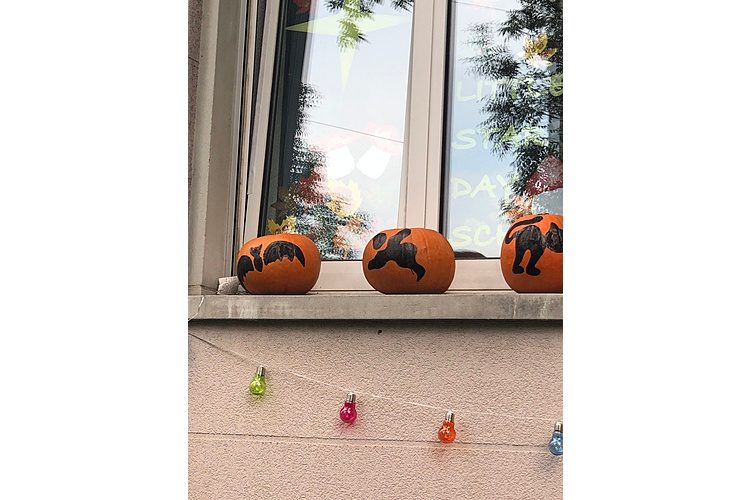 Tous les ans, tous les gangs d'enfants du quartier sonnent à la porte d'entrée de notre auteur à Halloween. C'était du moins le cas avant Corona.