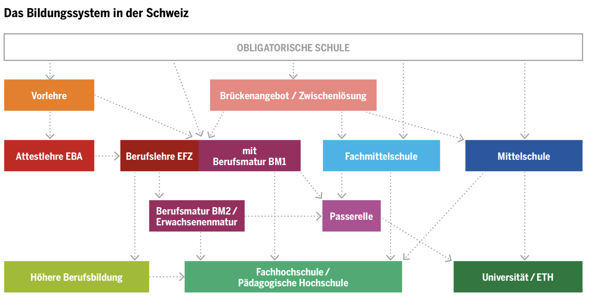 Bildungssystem der Schweiz: Welcher Weg ist meiner?