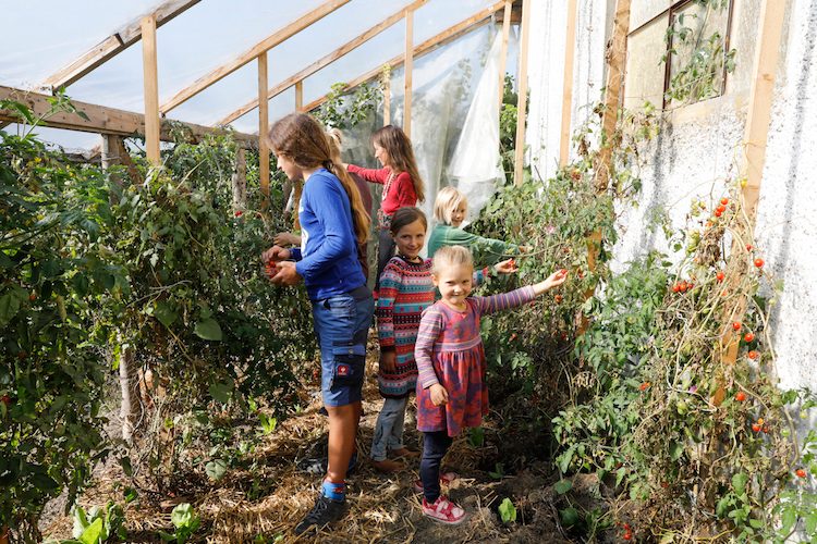 Roh und natürlich: Essen wie unsere Vorfahren Die Patchworkfamilie von Sandra und Tanja ernährt sich von Rohkost. Wenn Luca*, 12, David, 9, oder die 6-jährigen Mia und Anna Geburtstag feiern, ist sogar der Kuchen roh. Zum Beitrag geht es hier entlang.