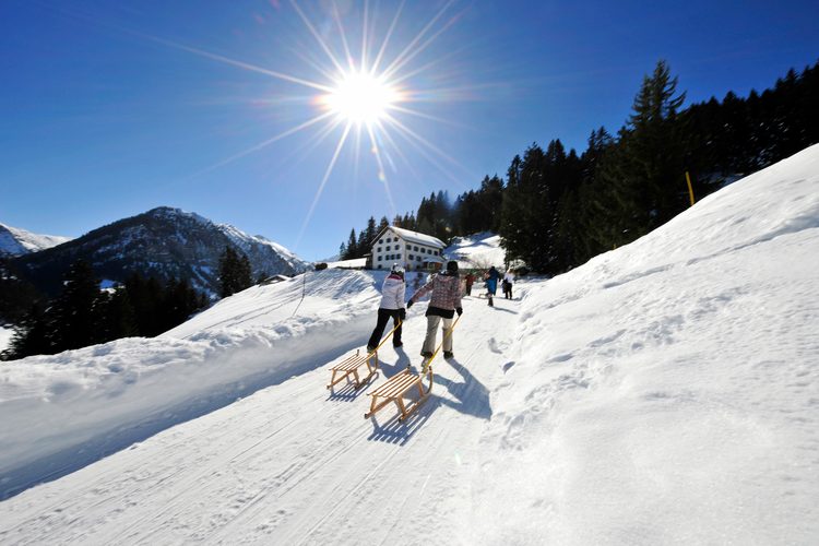 Sücka toboggan run