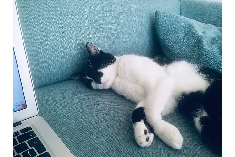 Le voisin de bureau de Mikael Krogerus ne respecte pas la distance minimale. (Image : zVg)