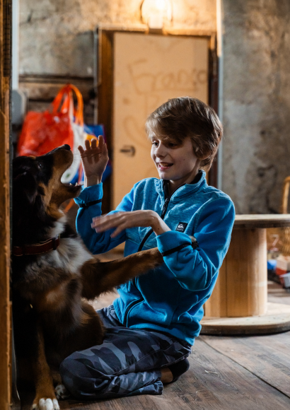 Bub spielt mit Hund