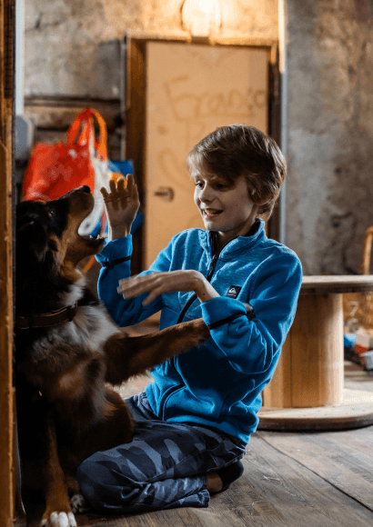 Bub spielt mit Hund