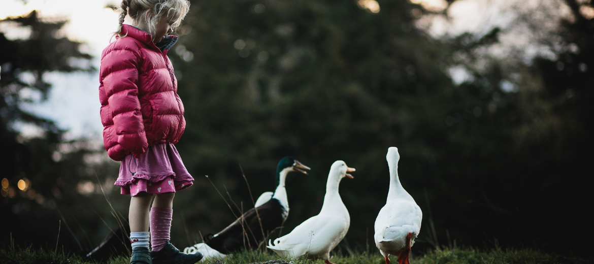 Kindergarten: Ihr Kind hat das erste halbe Jahr geschafft.