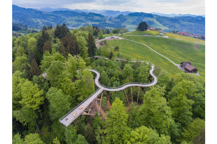 Der 500 Meter lange Baumkronenweg führt vom Waldboden hoch bis über die Baumwipfel. Die 40 interaktiven Lern- & Erlebnisstationen zeigen  die Vielfalt des Waldes. Zum Angebot: sbb.ch/baumwipfelpfad.