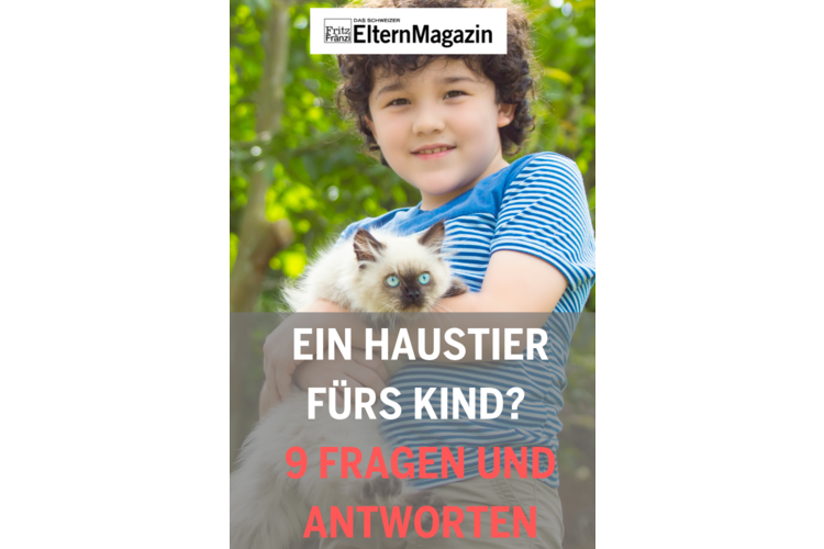 Möchten Sie sich diesen Artikel merken? Dann pinnen Sie dieses Bild auf Ihre Pinterest-Pinnwand.