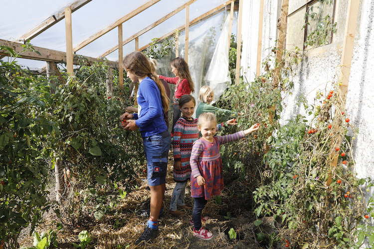 Roh und natürlich: Essen wie unsere Vorfahren Die Patchworkfamilie von Sandra und Tanja ernährt sich von Rohkost. Wenn Luca*, 12, David, 9, oder die 6-jährigen Mia und Anna Geburtstag feiern, ist sogar der Kuchen roh. Zum Beitrag geht es hier entlang.   