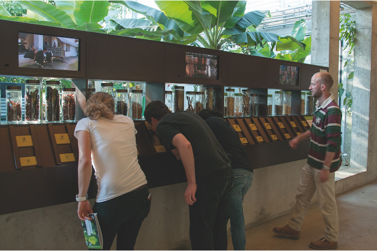 4 / 6 An der «Duftbar» im Tropenhaus Wolhusen LU.