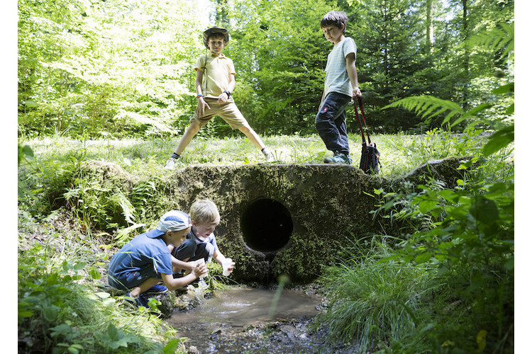 3/3 Kinder besuchten den Wald nur noch gelegentlich, und wenn, dann brav auf dem Spazierweg, erklärt eine Lehrerin. 