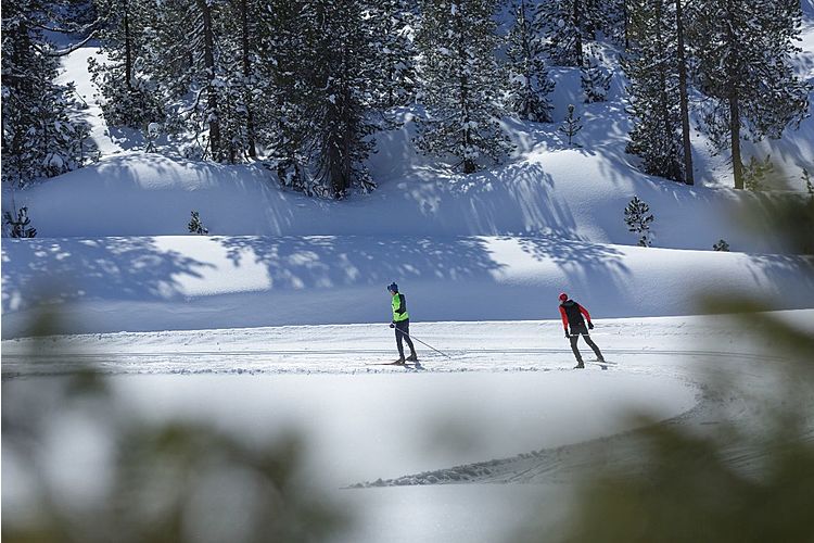 Zauberhafte Winterlandschaft: die Langlaufoipen vom Salwideli mit viel Panorama