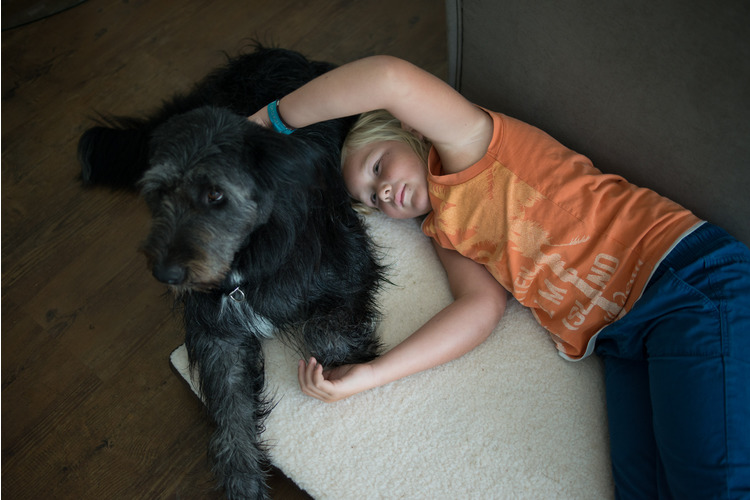 1/4 Gemeinsam ist es gemütlicher auf Colas Hundebett.