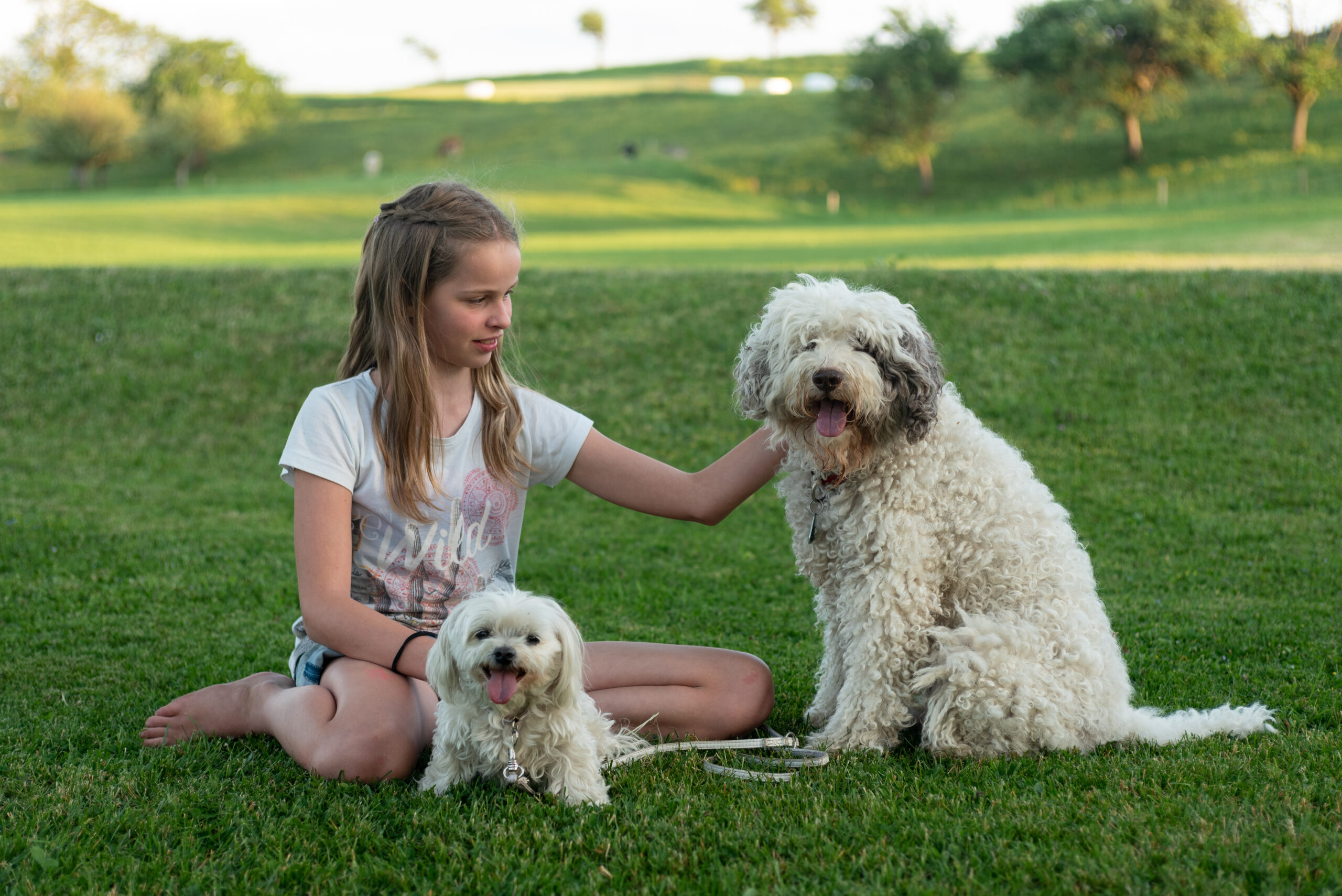 Ferienhund: Ein Haustier auf Zeit für die Familie