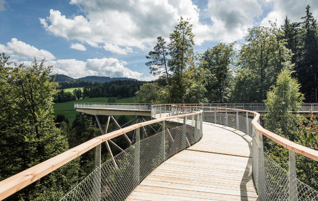 Baumwipfelpfad Teaser