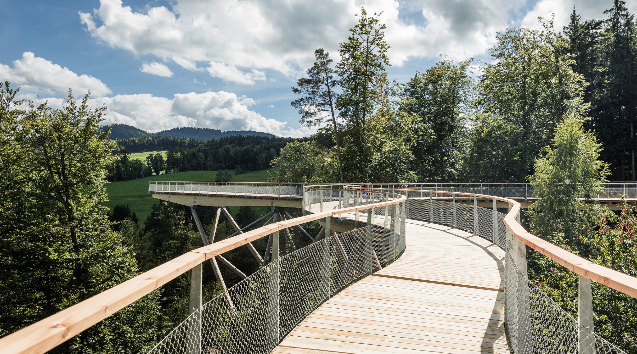 EP_Baumwipfelpfad Sommer_Artikelbild