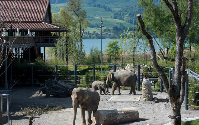Kein Titel (640 × 405 px)