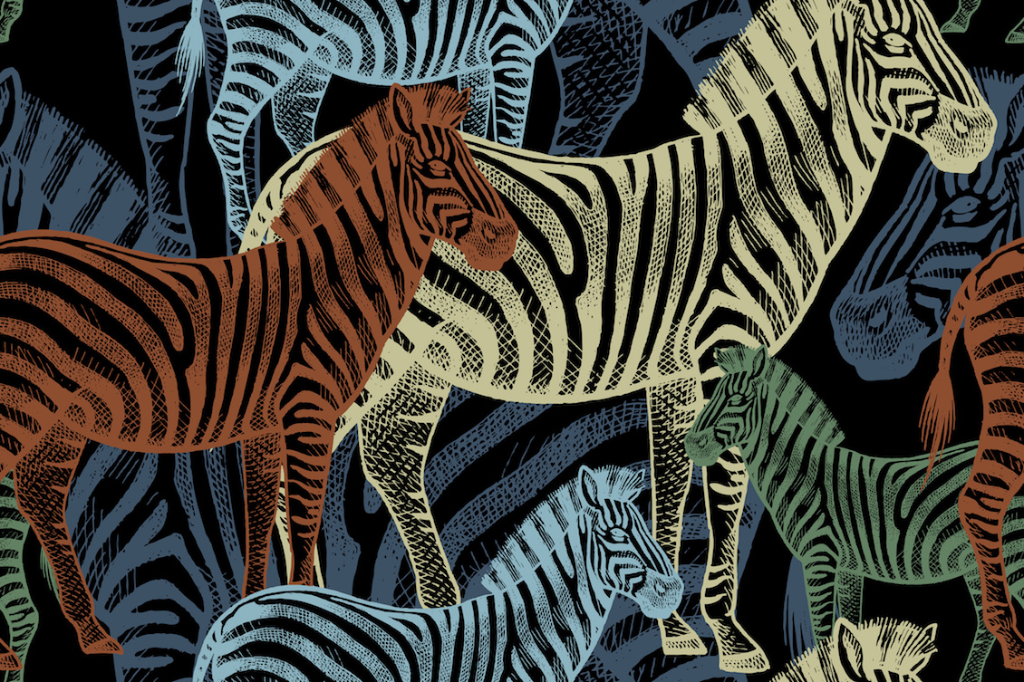 Seamless pattern with African animals zebra. Auf Safari im Schulbiotop