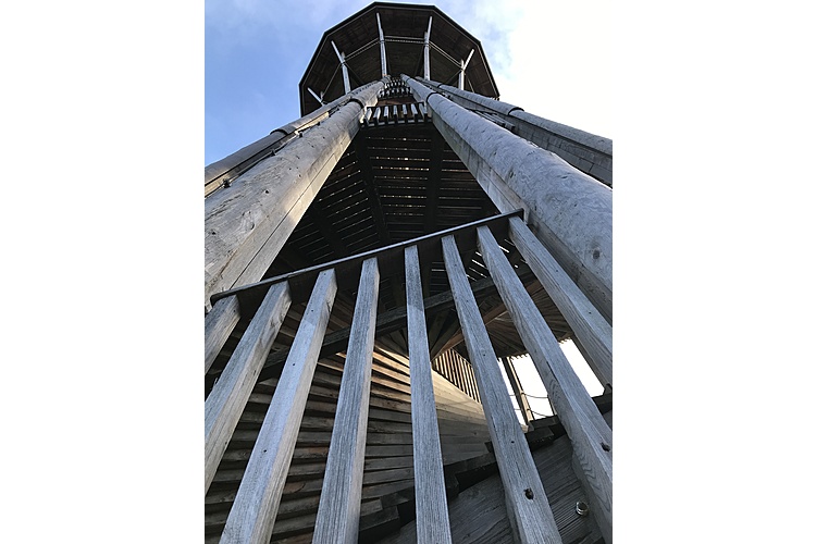Der «Kappla-Turm» im Bois du Sauvabelin (Bild: Florina Schwander, zVg)