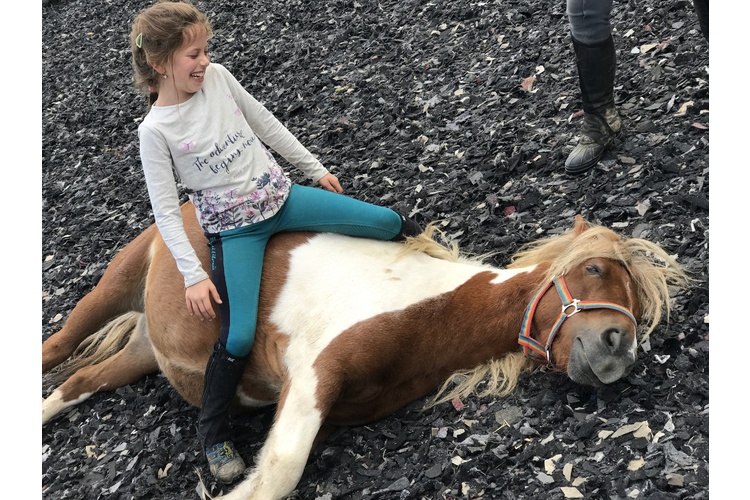 (1/3) Jade verbrachte viel Zeit mit ihrer grossen Liebe: den Pferden.