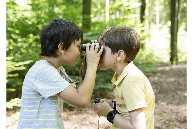 2/3 Kinder suchen sich im Spiel intuitiv selbst Herausforderungen, die ihre intellektuelle Entwicklung vorantreiben.