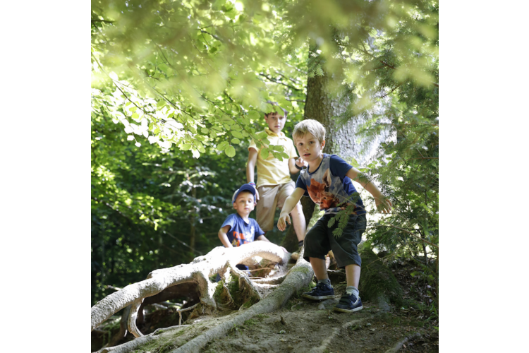 f9a39095a3e199284ec0b2700048c83f.png «Im Wald spielen ist die beste frühkindliche Bildung», sagt die Erziehungswissenschaftlerin Margrit Stamm. Dabei dürfe sich das Kind auch mal eine Schramme holen. Es lerne so, sich in risikoreichen Situationen zu bewähren.