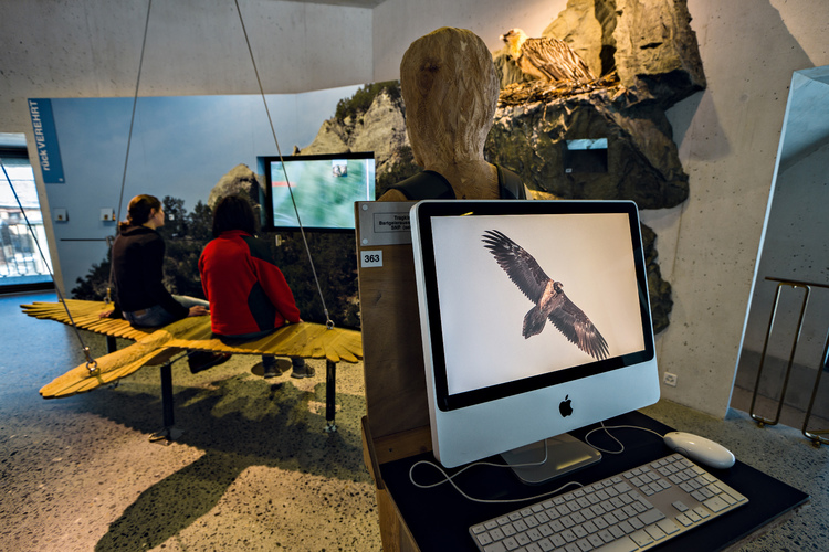 Wie ein Raubvogel durch die Lüfte gleiten... das geht im Besucherzentrum des Nationalparks Zernez. Bilder: Tourismusorganisation Engadin St. Moritz