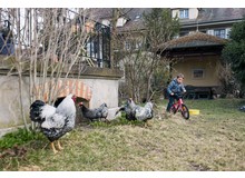 Dieser Artikel gehört zum
