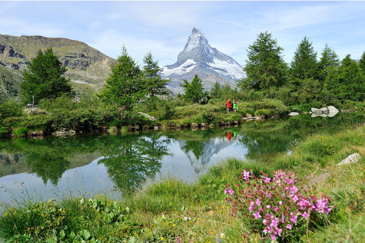 Der Grindjisee mit seiner einmaligen Alpenflora