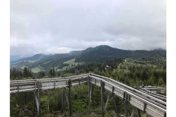 Da stören auch Wolken nicht: Das Wetter passt zur wilden Waldlandschaft. 