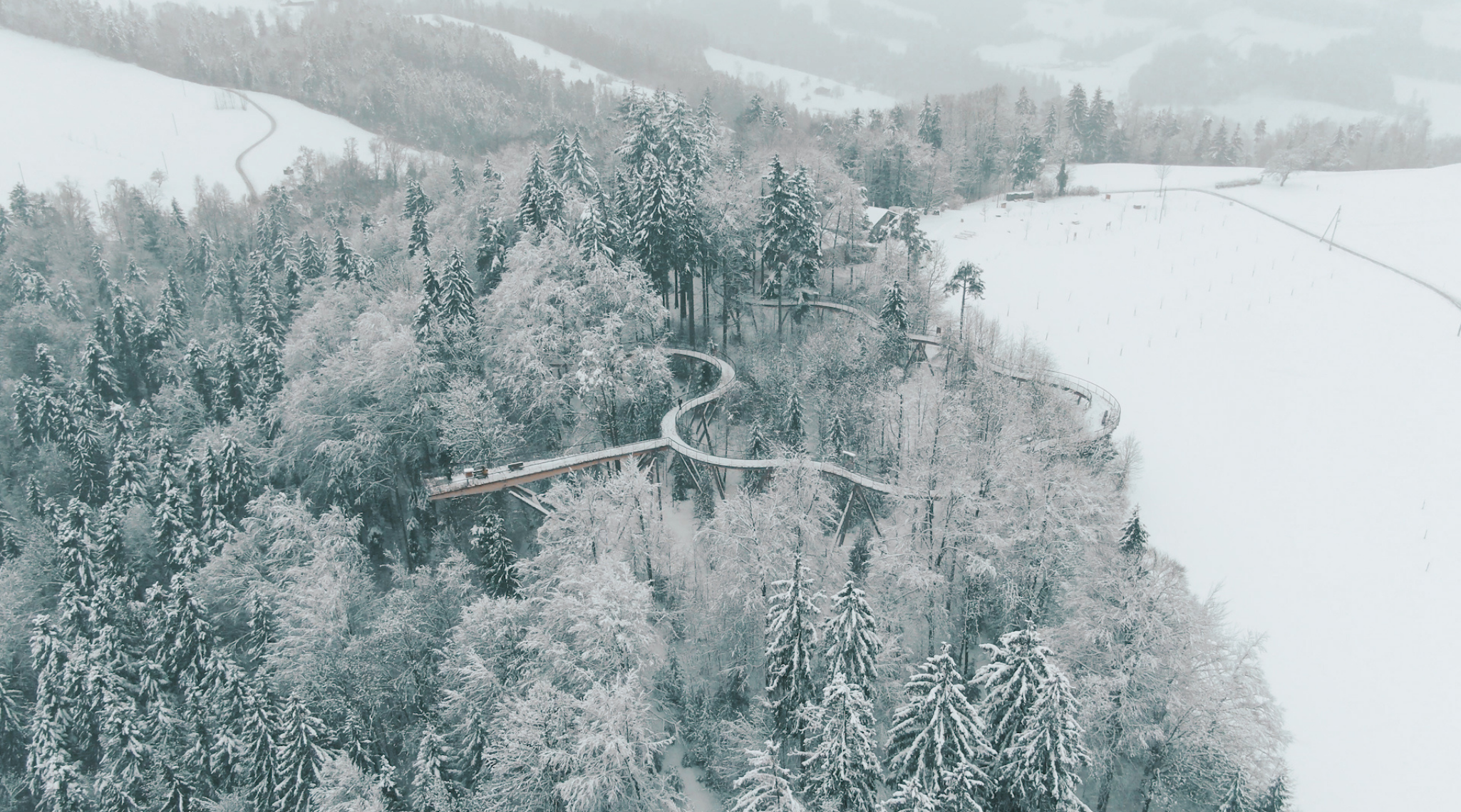 Baumwipfelpfad_Winter_1