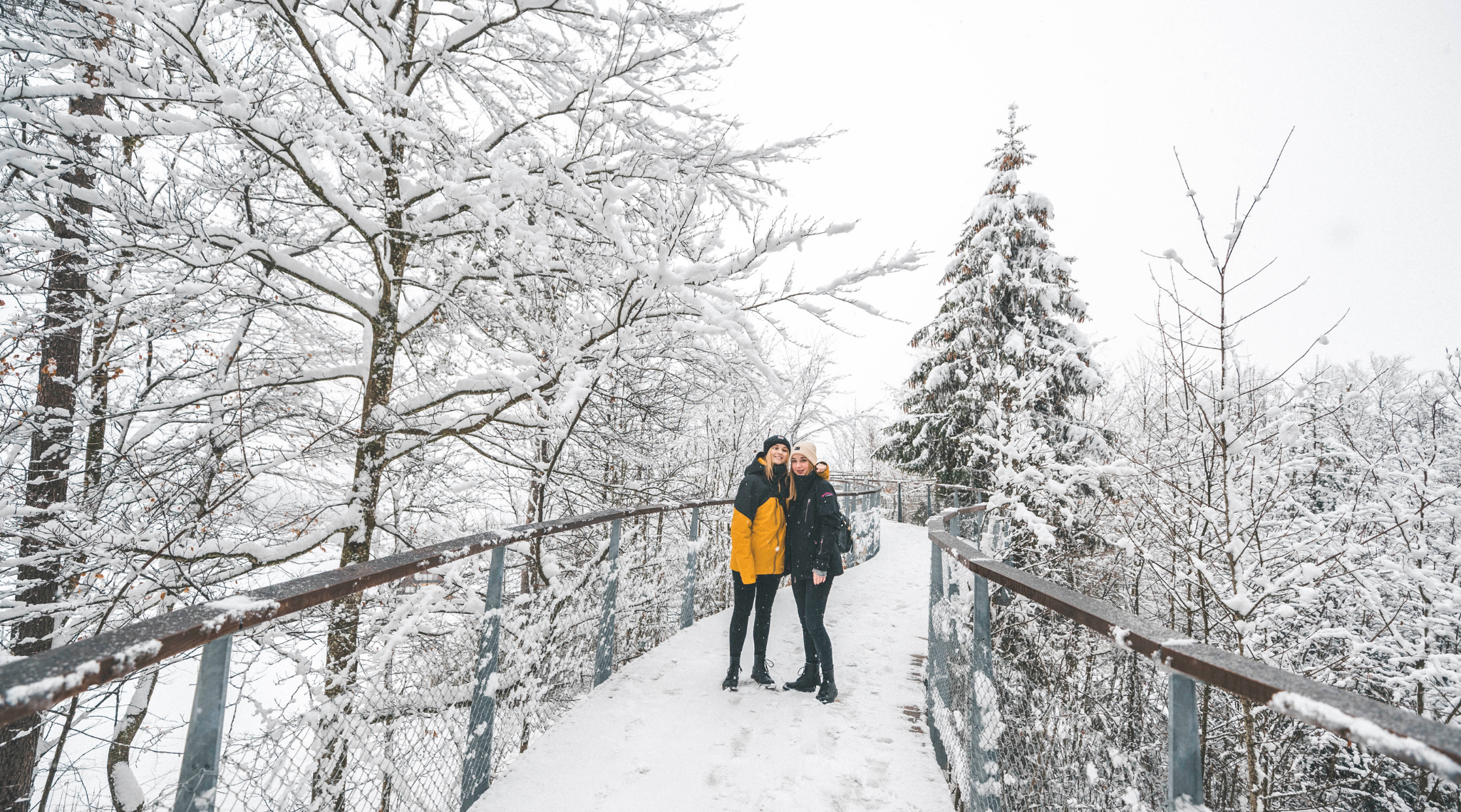 Baumwipfelpfad_Winter_2