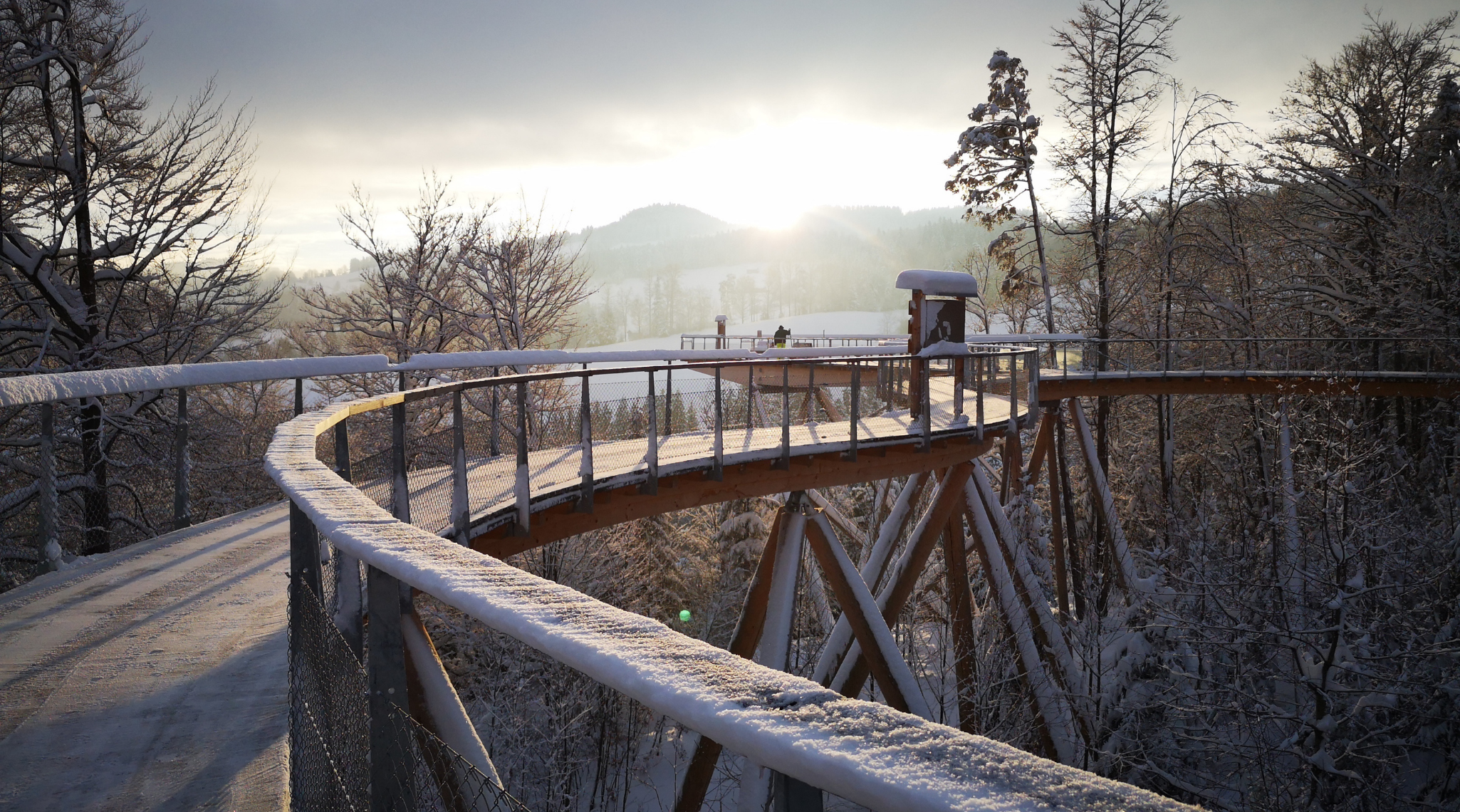 Baumwipfelpfad_Winter_3