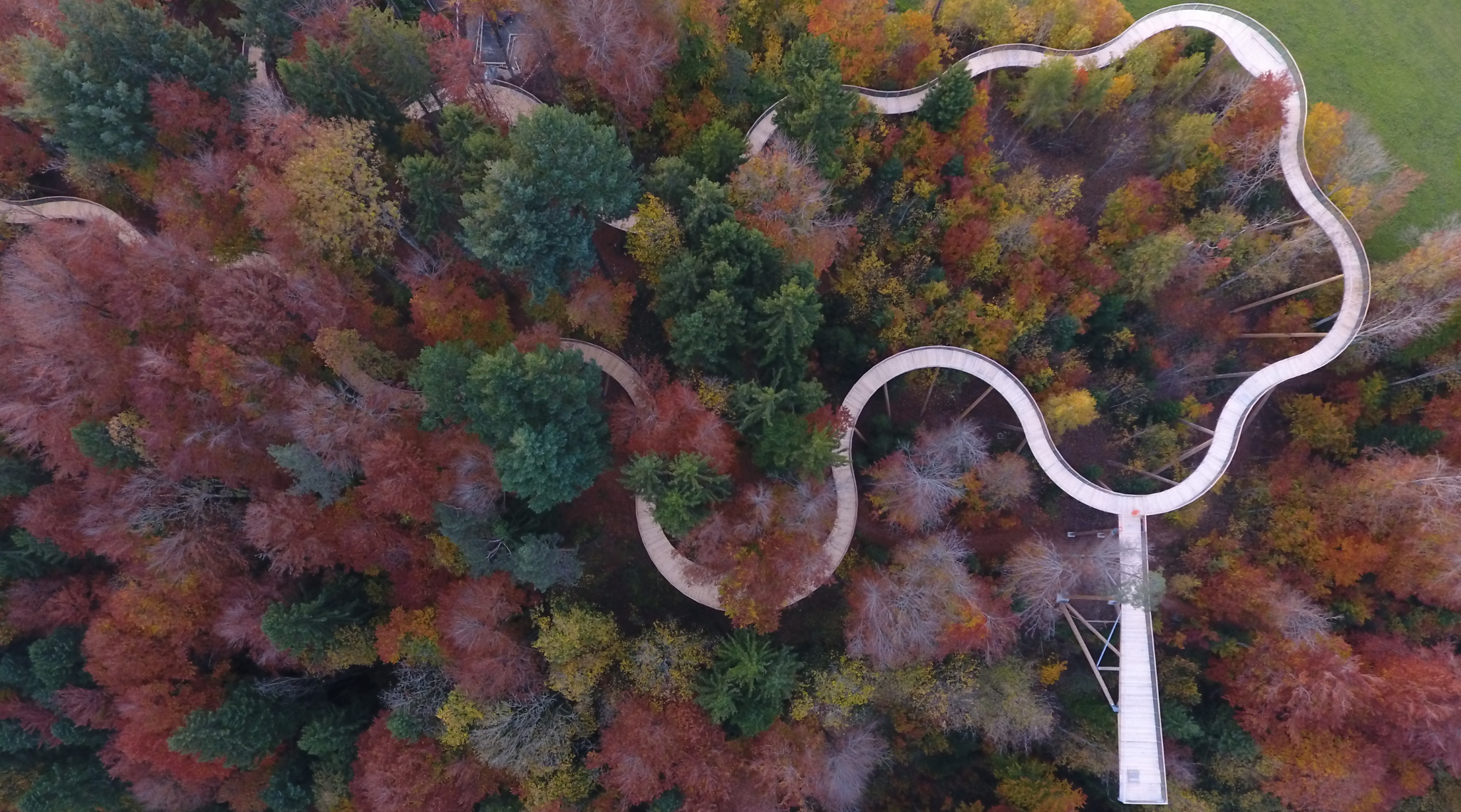 ElternPass_Baumwipfelpfad_Herbst_Hg