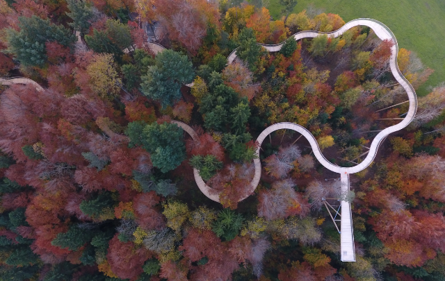 ElternPass_Baumwipfelpfad_Herbst_Hk