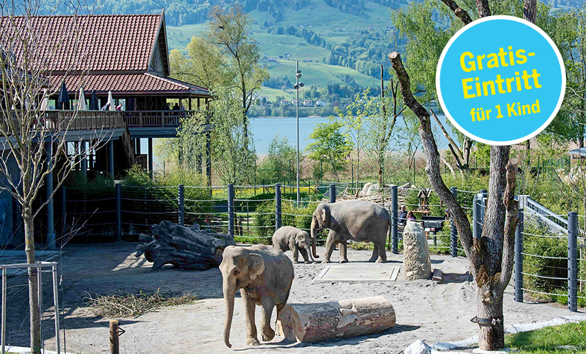 fuf-2204-70-elternpass-knies-kinderzoo-w