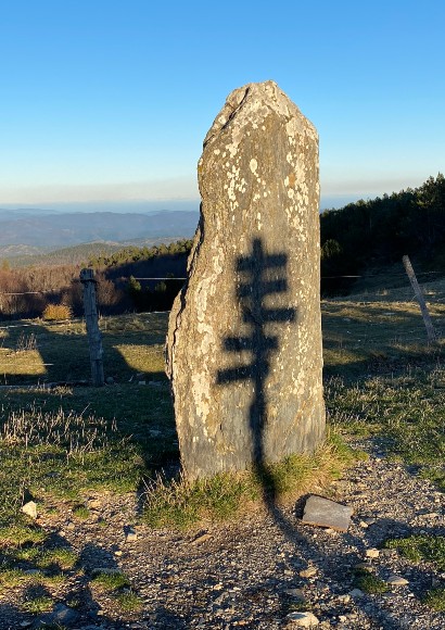 Bild_1
