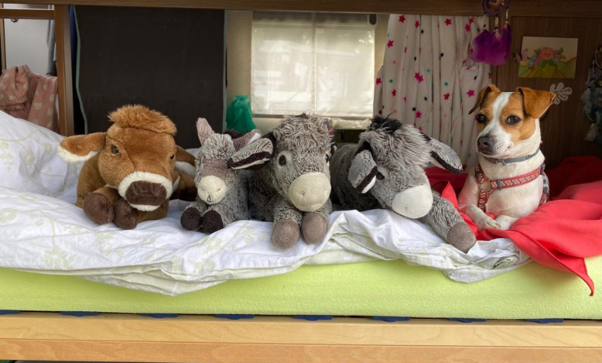 Silfverberg_Blog-4_Stofftiere
