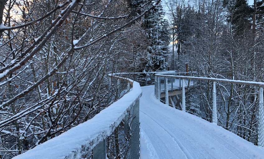 ElternPass_Baumwipfelpfad_Ab-quer