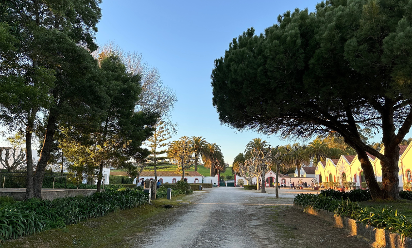 23_04_DS_Reisen_Quinta1