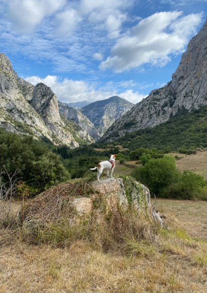 23_06_Reisetipps-Spanien_DS_Ab1