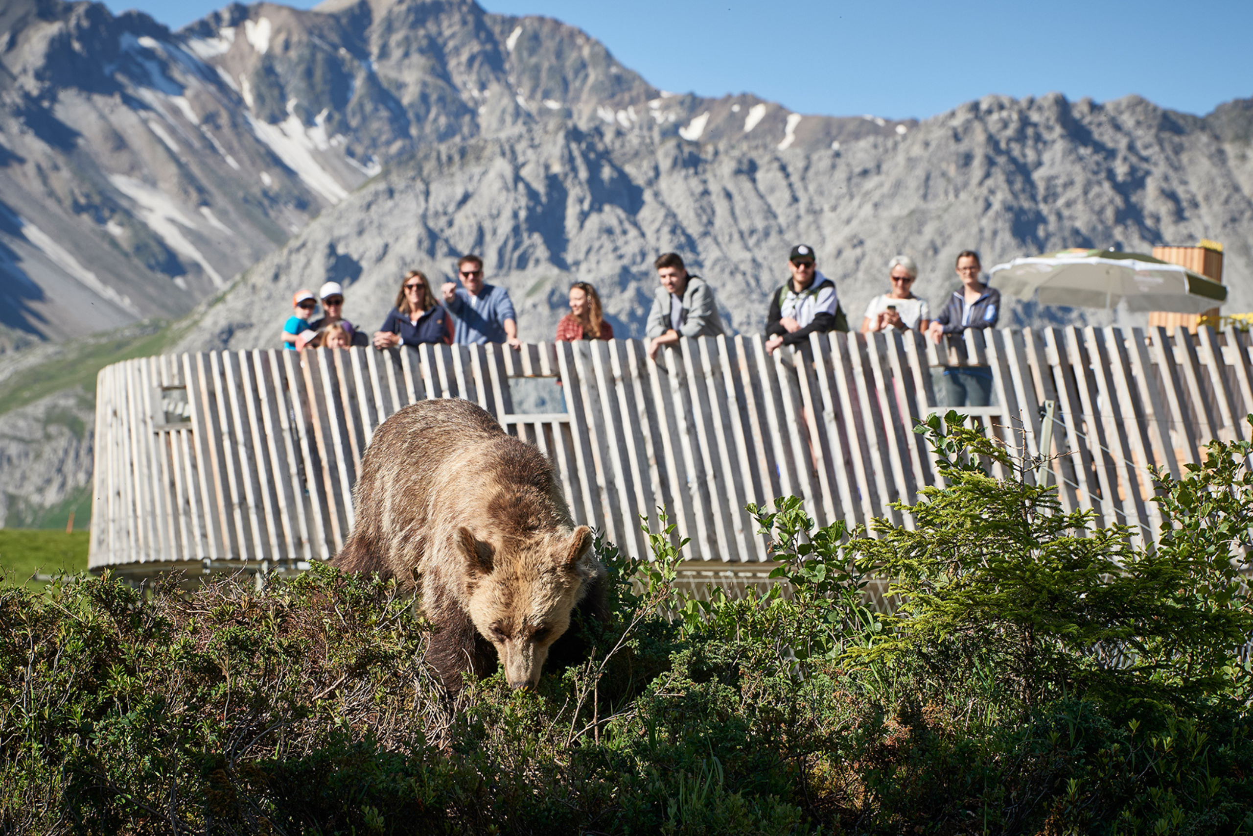 ElterPass_Arosa_Herbst_Header