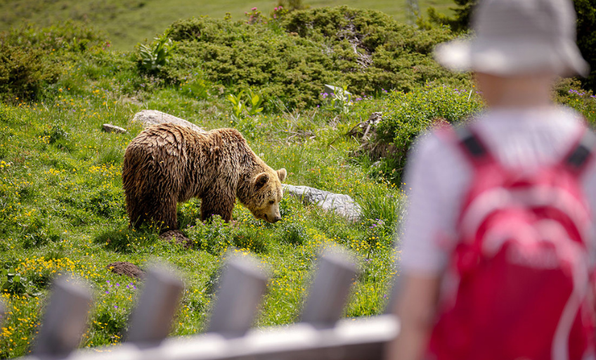 2024 Ein Wochenende in Arosa Tipps für Familienferien in den Bergen Schweiz 2